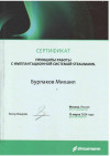 Дипломы и сертификаты Бурлакова Михаила Сергеевича